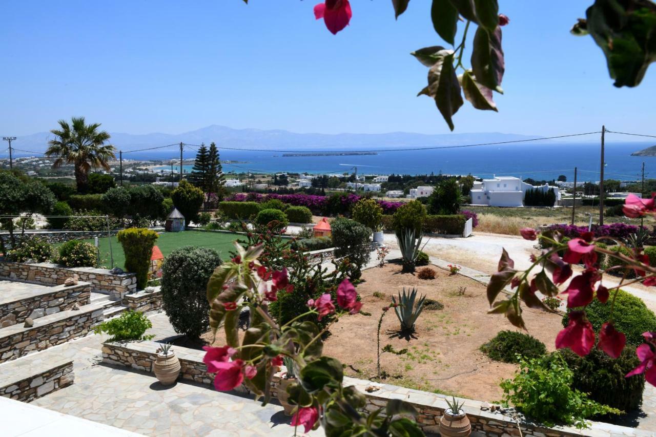Dryades Family Hotel Drios Dış mekan fotoğraf