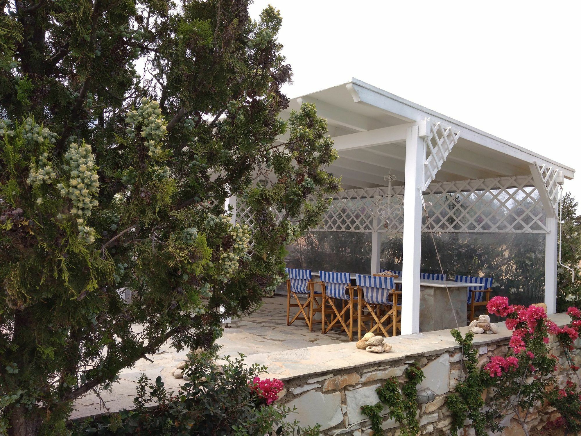 Dryades Family Hotel Drios Dış mekan fotoğraf